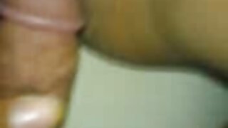 ஒல்லியான முதிர்ந்த MILF ஸ்டுட் ஹேரி அக்குள்களுடன் தெலுங்கு கவர்ச்சி மாமியின்